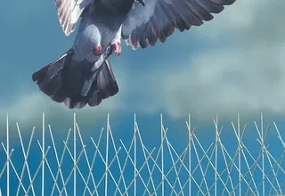 تركيب طارد حمام بالدمام