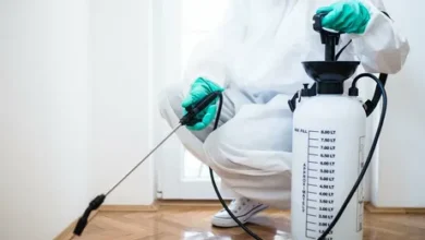 شركات مقاومة الحشرات بالدمام