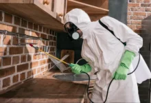 شركة مكافحة حشرات الدمام