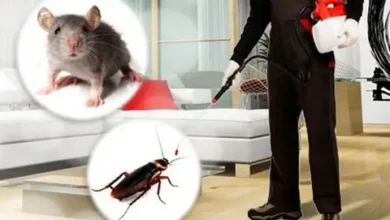 مكافحة الحشرات باقل الاسعار الدمام